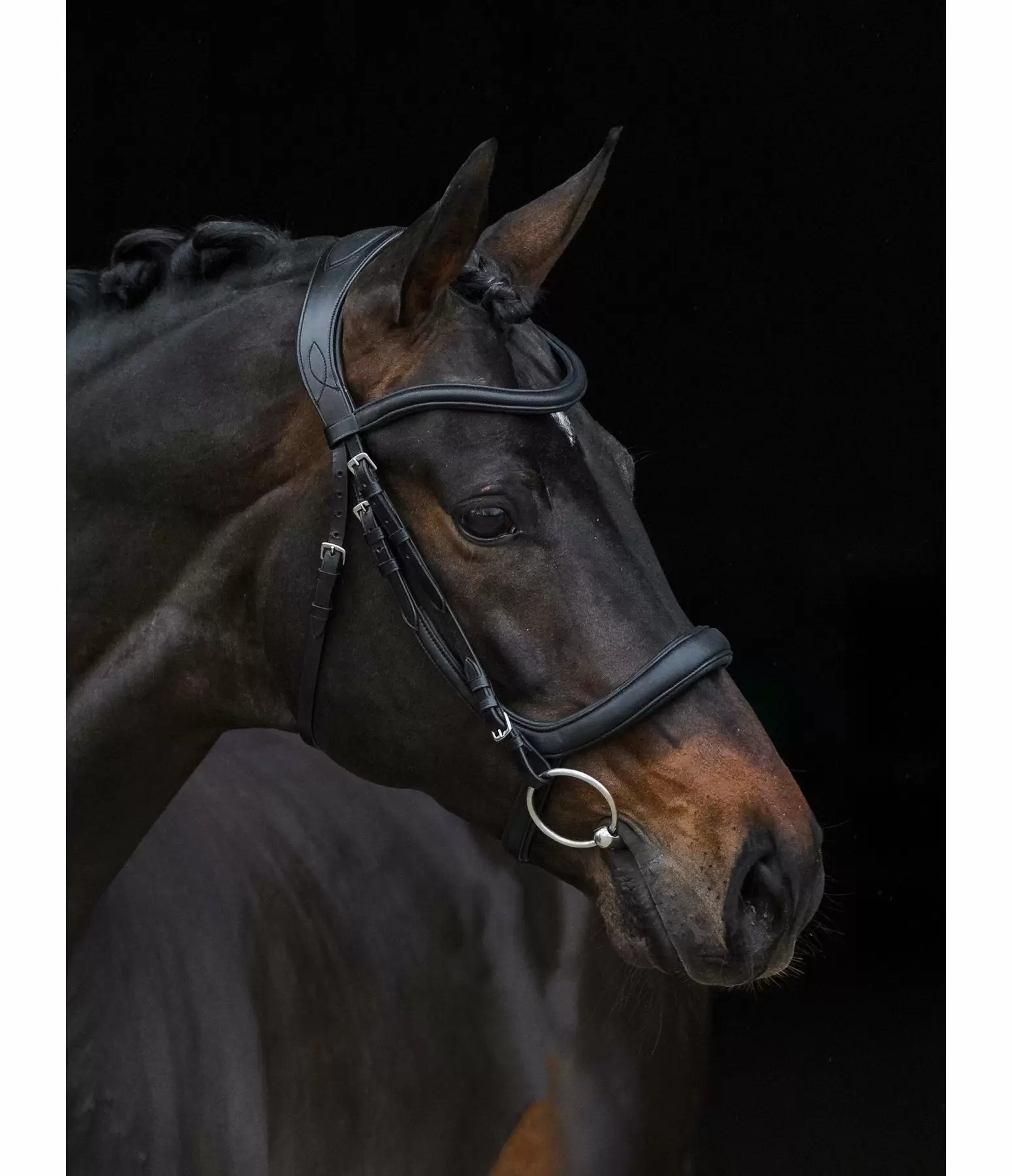 Bridon  Gently Anatomical Innovation