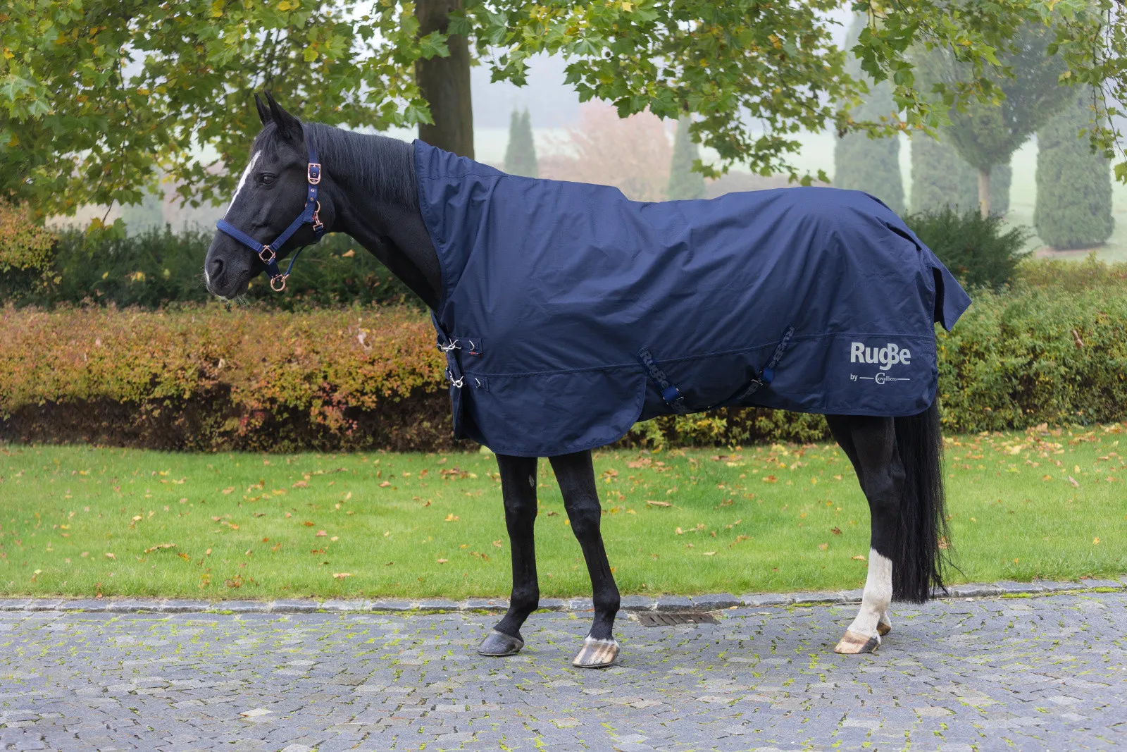 Couverture Cheval Extérieur RugBe Covalliero HighNeck