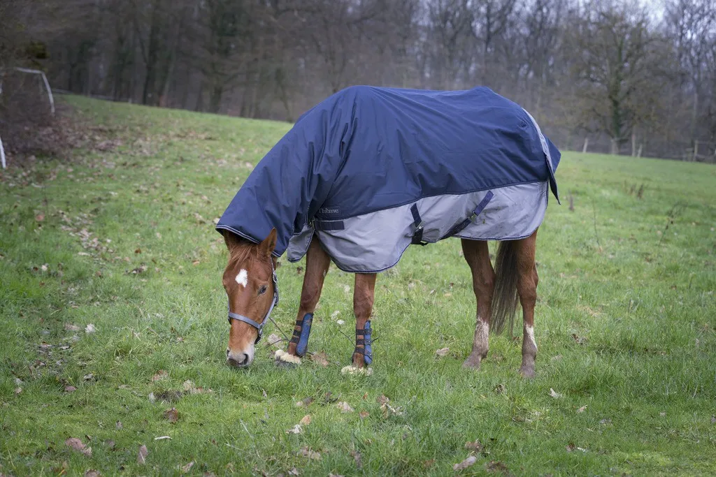 Couverture Equi-theme Tyrex 600D Combo 350g pour Cheval et Poney