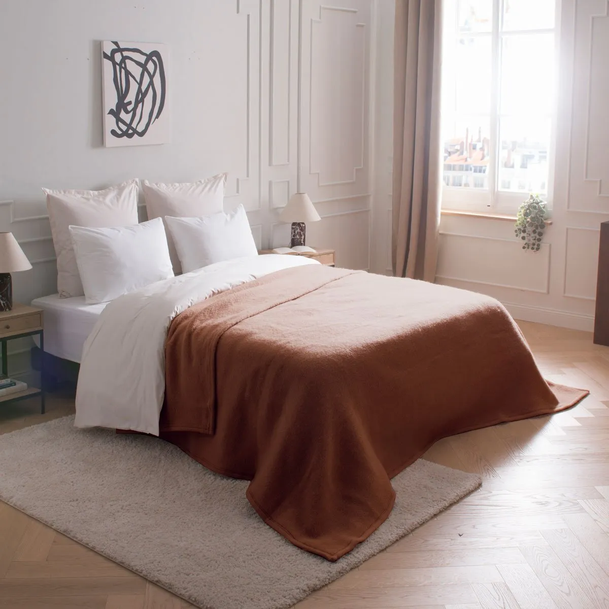 Couverture Morzine Chamois