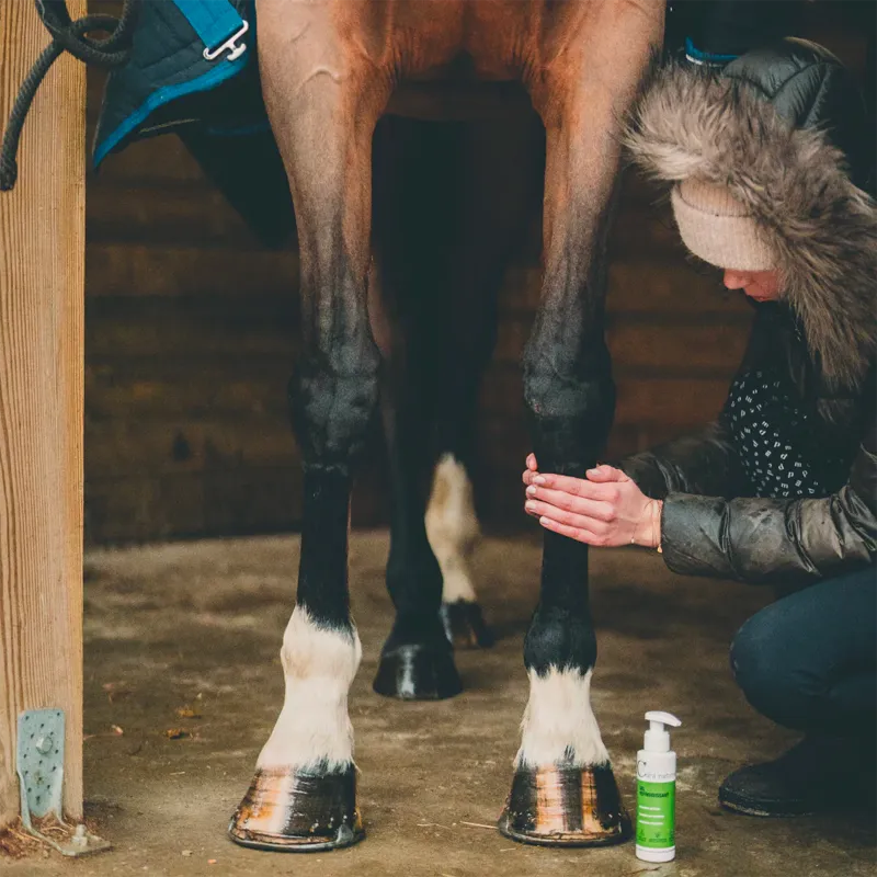 Cura Naturale - Gel refroidissant pour chevaux