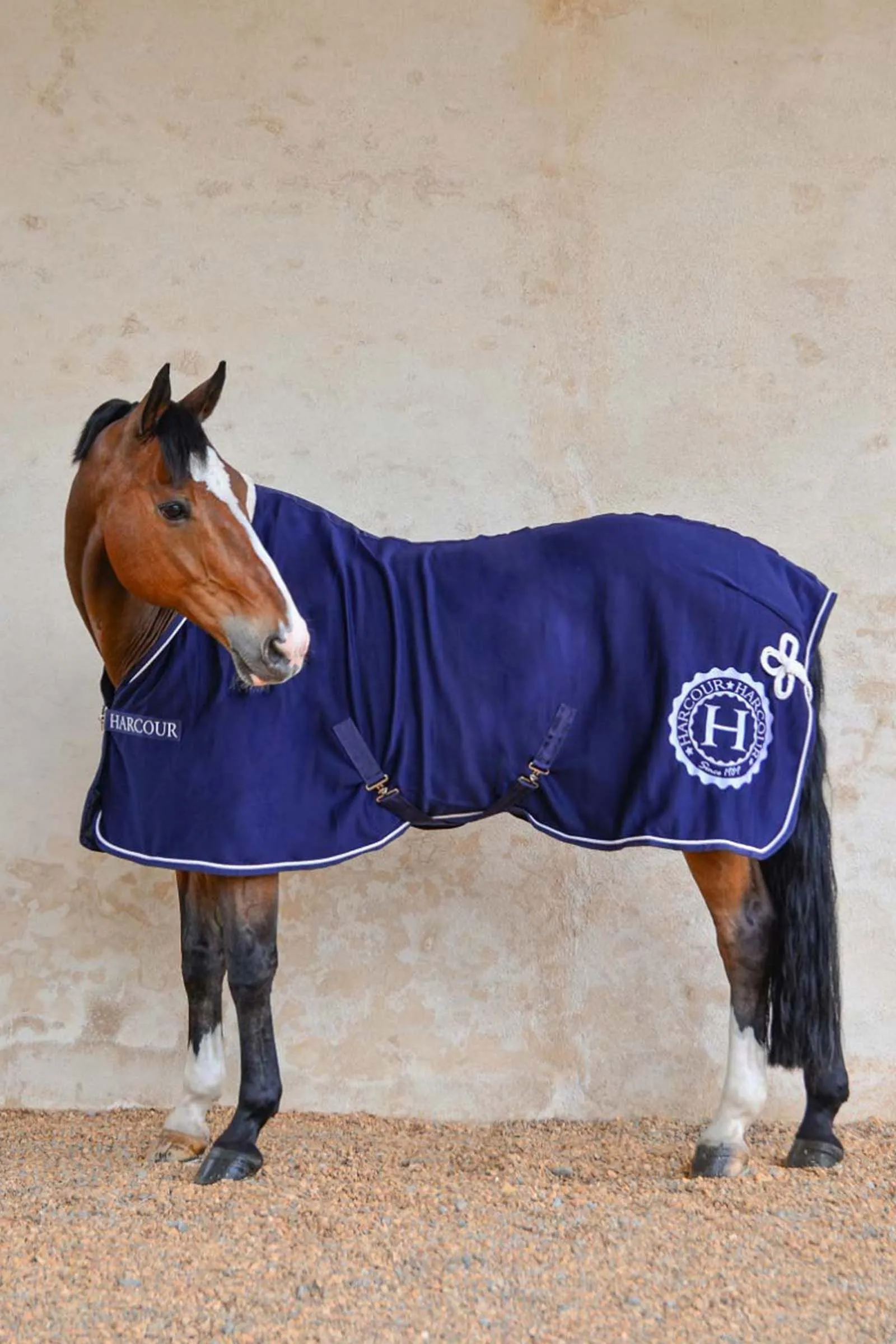 Harcour Cancale couverture Cheval