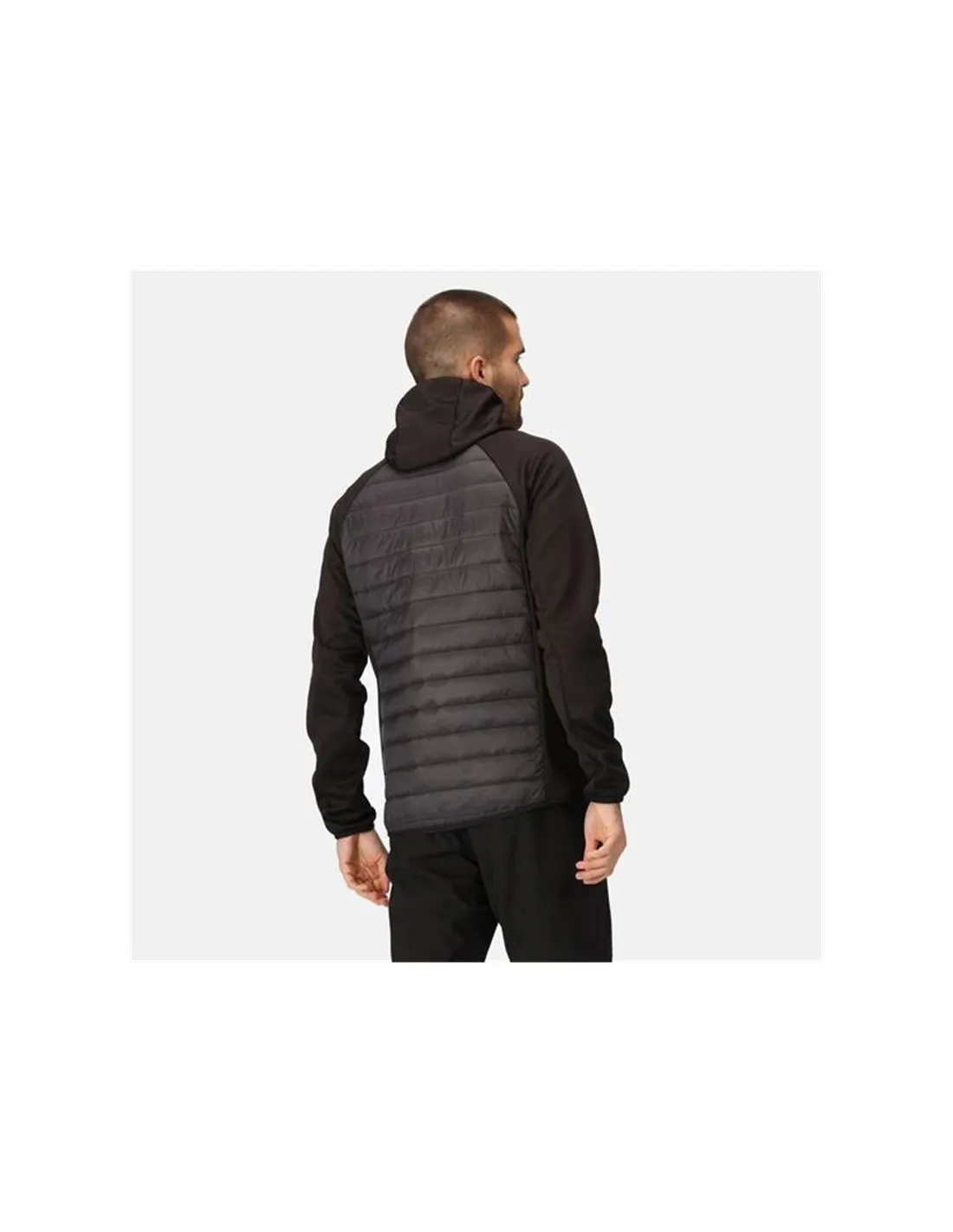 Mountain Jacket Regatta Andreson VIII Hybrid Frêne/Noir Homme