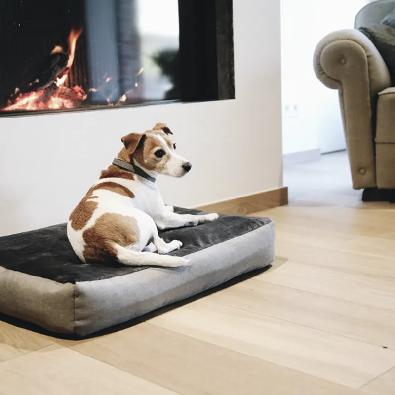 Panier pour chien Soft Pillow - Kentucky Dogwear - KENTUCKY DOGWEAR - Paniers et gamelles chien - Equestra