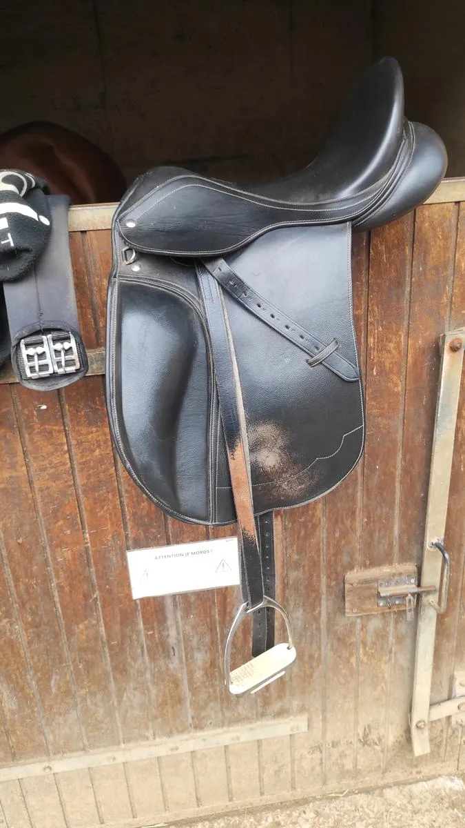 Selle dressage